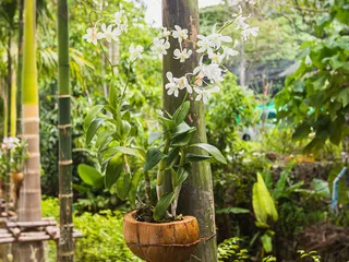 Квартиры «под ключ» в жилом комплексе недалеко от пляжа Карон, Муанг Пхукет, Пхукет, Таиланд